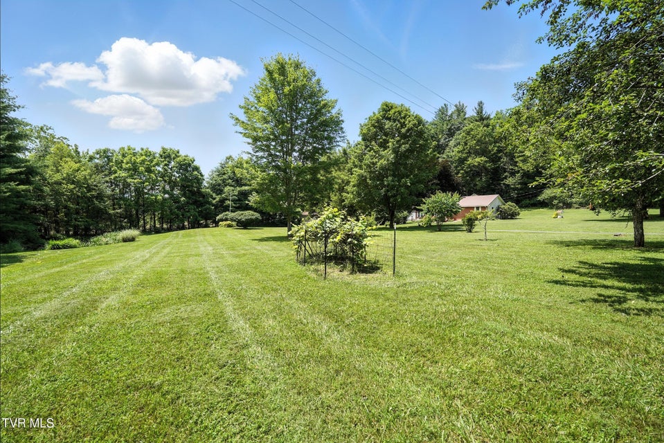 Photo #37: 1037 Swift Hollow Road