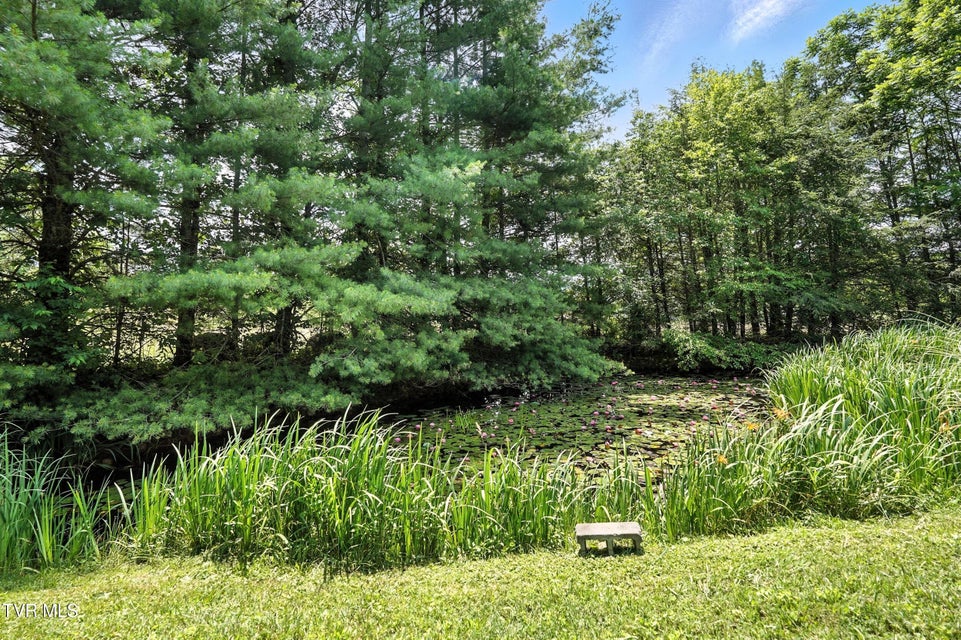 Photo #38: 1037 Swift Hollow Road