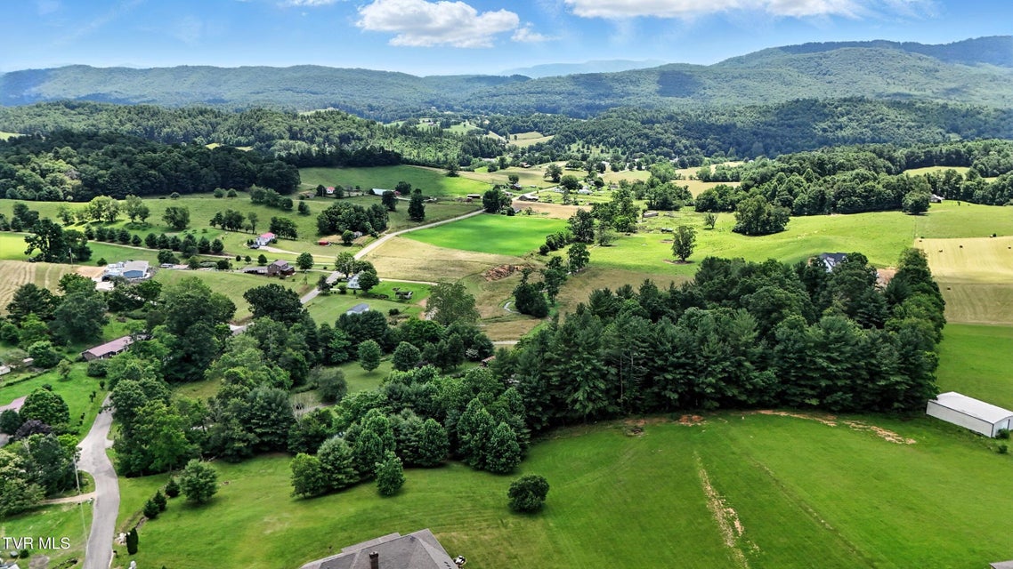 Photo #48: 1037 Swift Hollow Road