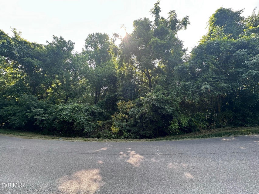 Photo #7: 1304 Rock Garden Road