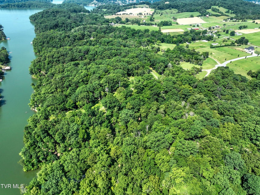 Photo #4: 2297 Turkey Ridge Lane