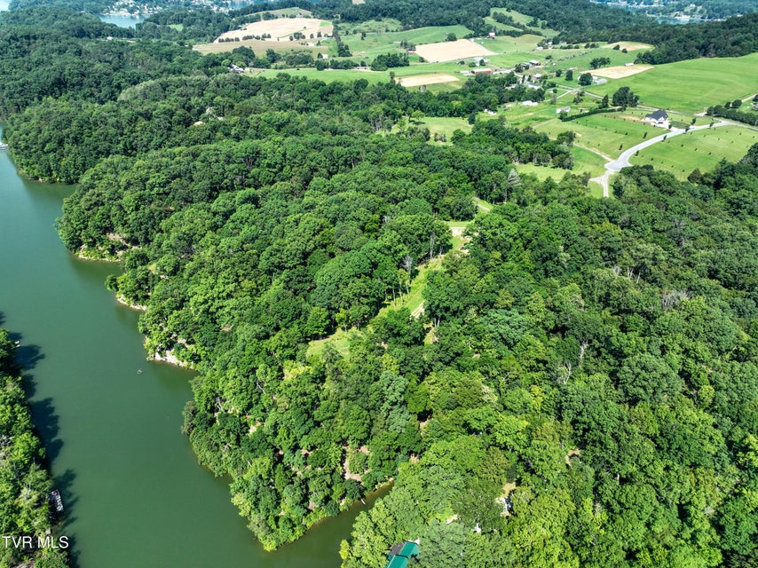 Photo #5: 2297 Turkey Ridge Lane