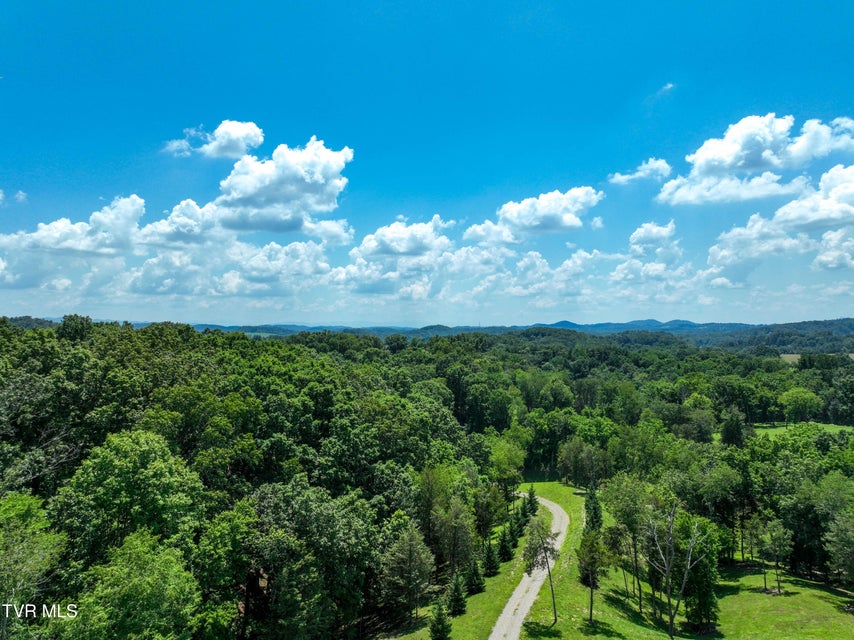 Photo #13: 2297 Turkey Ridge Lane