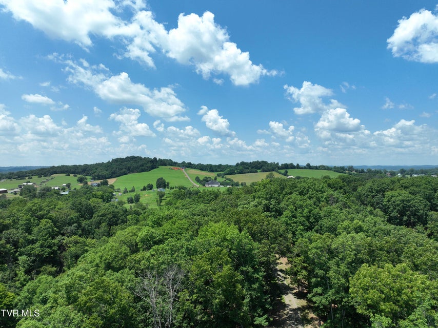 Photo #22: 2297 Turkey Ridge Lane