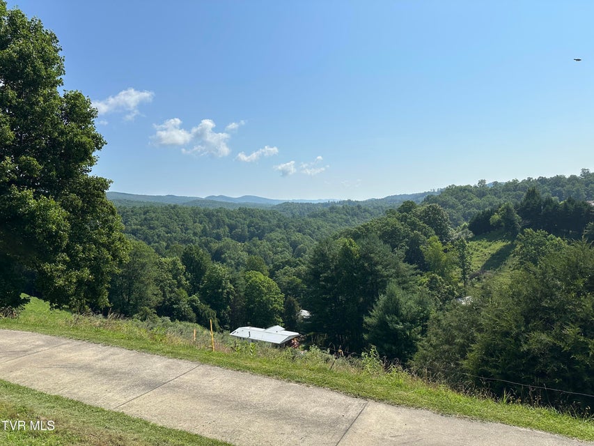 Photo #4: 1456 Osbornes Gap Road