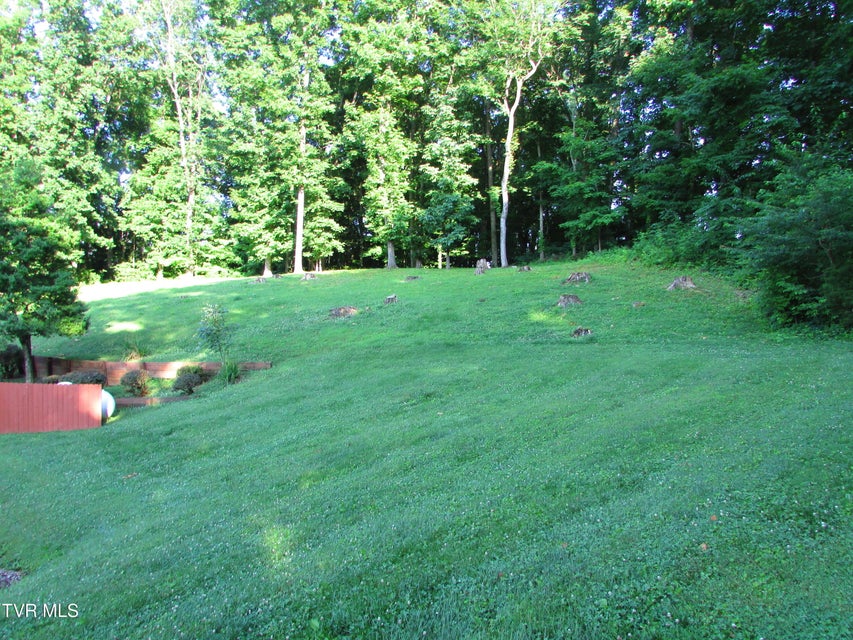 Photo #17: 186 Windsong Drive