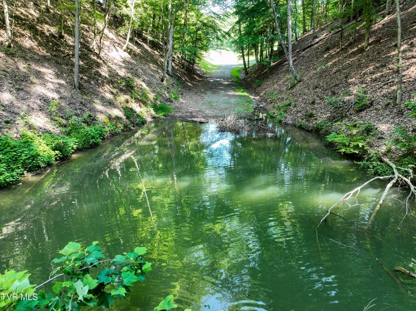 Photo #13: 2318 Turkey Ridge Lane