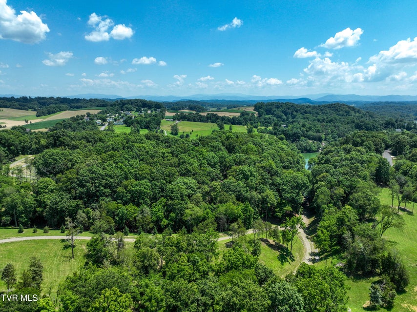 Photo #20: 2318 Turkey Ridge Lane