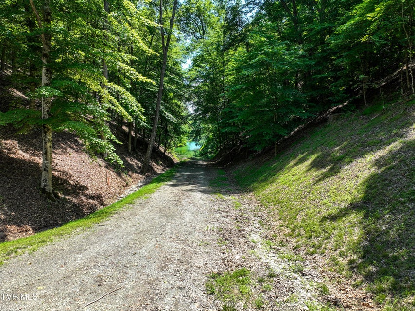 Photo #31: 2318 Turkey Ridge Lane
