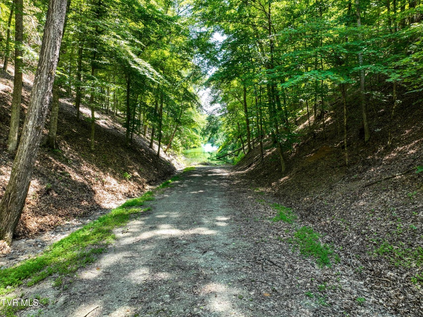 Photo #32: 2318 Turkey Ridge Lane