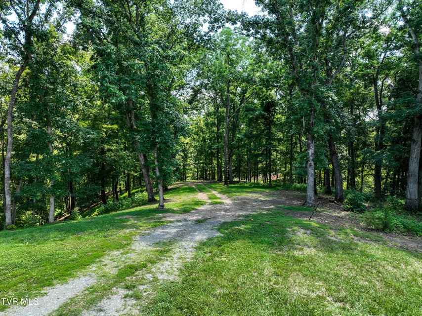 Photo #35: 2318 Turkey Ridge Lane