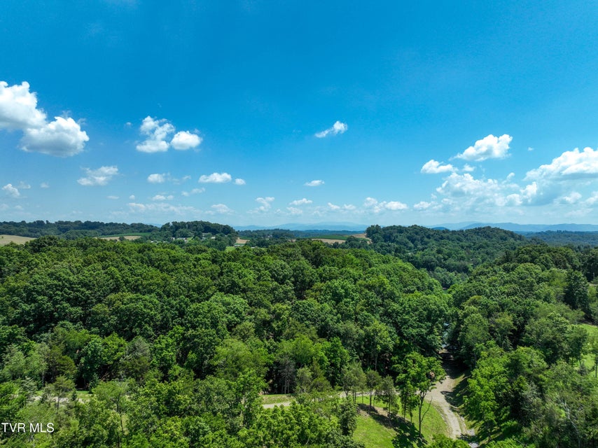 Photo #19: 2294 Turkey Ridge Lane