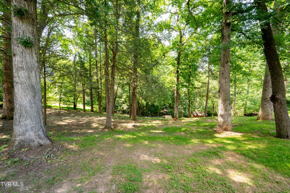 Photo #56: 101 Ridgewood Drive
