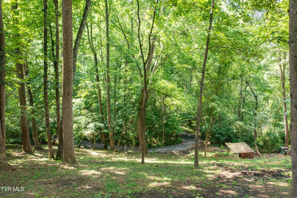 Photo #58: 101 Ridgewood Drive