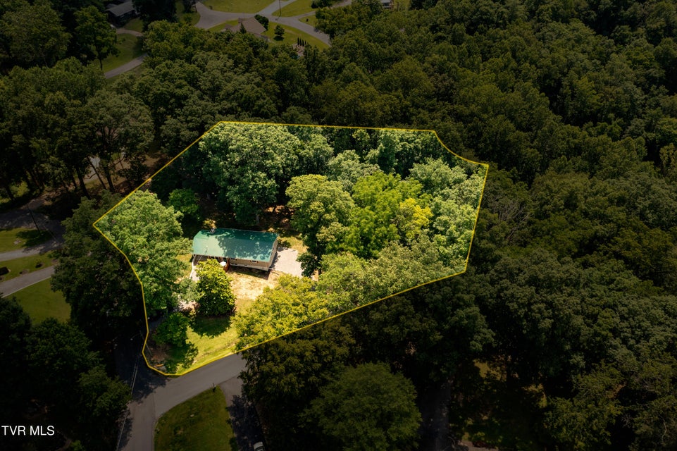 Photo #62: 101 Ridgewood Drive