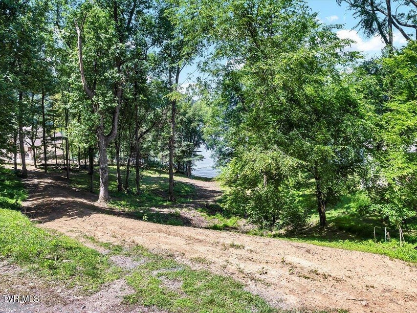 Photo #3: Lot 11 Walnut Bend Drive