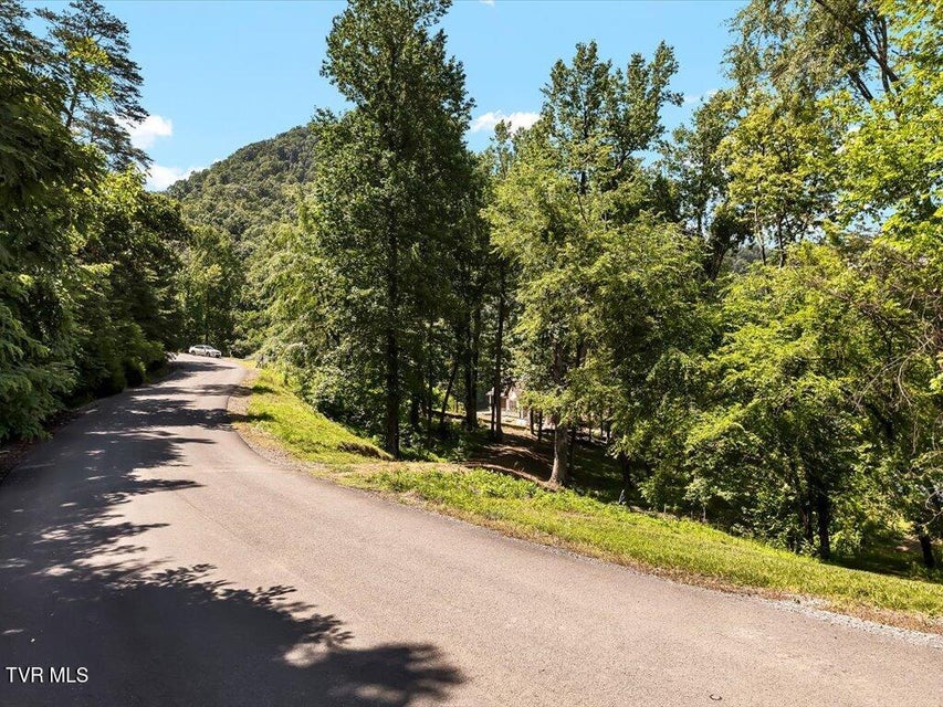 Photo #29: Lot 11 Walnut Bend Drive