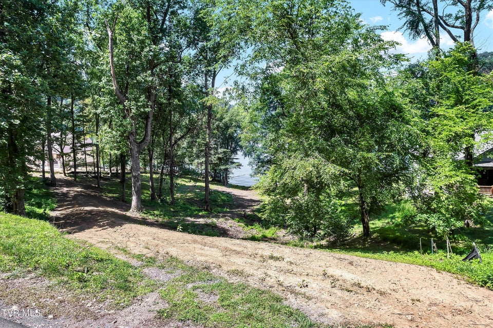 Photo #5: Lot 11 Walnut Bend Drive