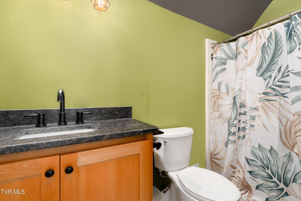 Photo #82: 461 Shady Avenue