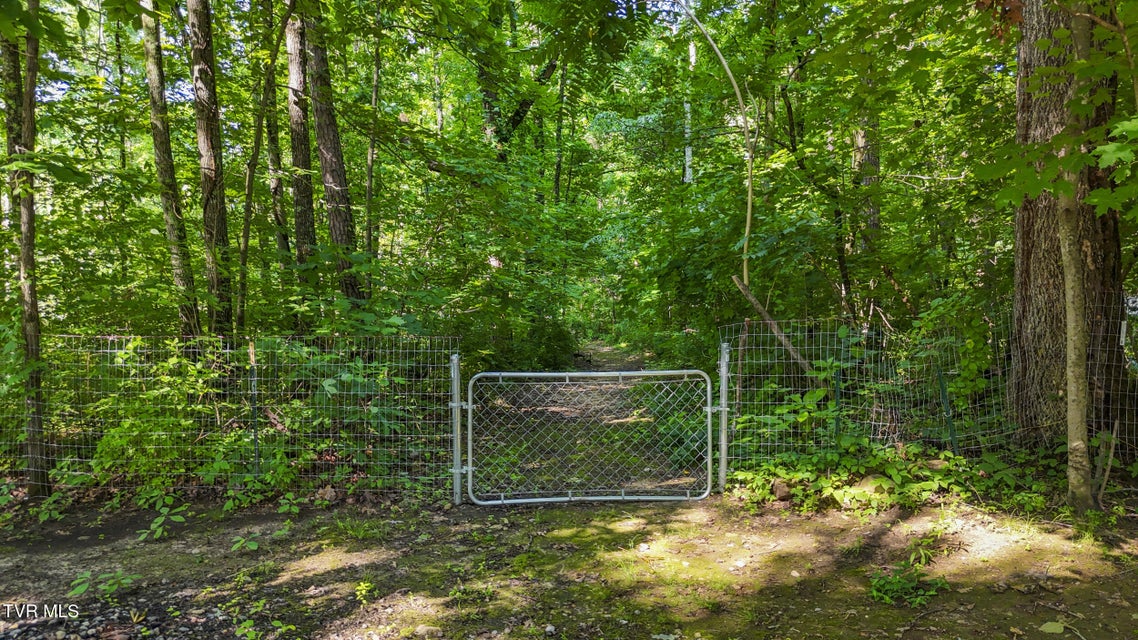 Photo #18: 1537 Kimberly Drive