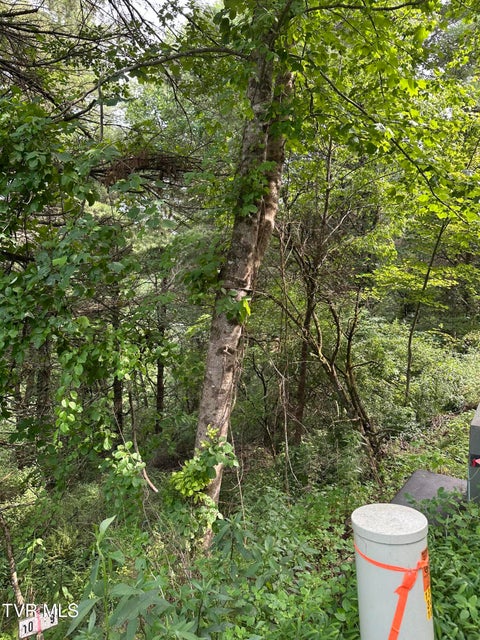 Photo #13: Lot 9 Laurelwood Lane