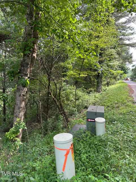 Photo #15: Lot 9 Laurelwood Lane