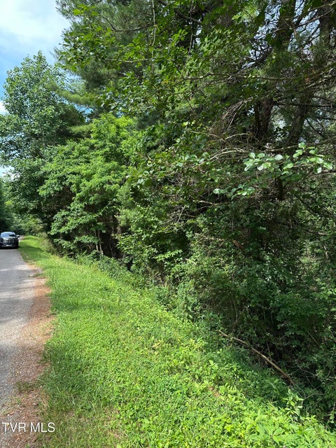 Photo #3: Lot 9 Laurelwood Lane