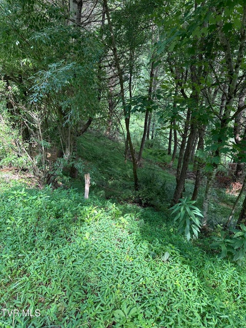 Photo #3: Lot 9 Laurelwood Lane