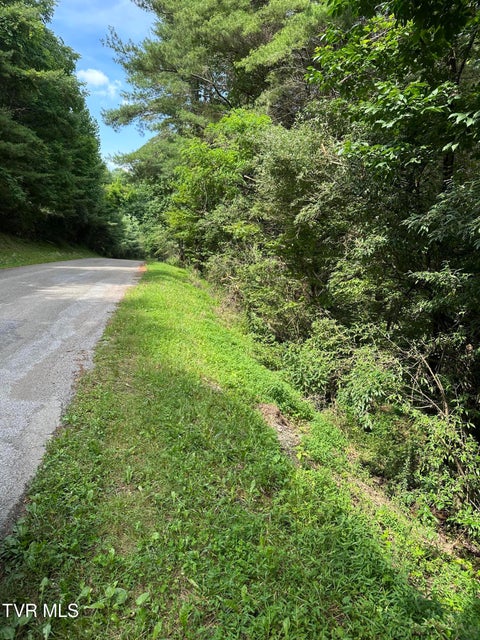 Photo #4: Lot 9 Laurelwood Lane