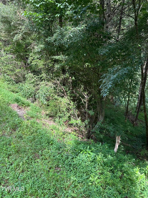 Photo #6: Lot 9 Laurelwood Lane