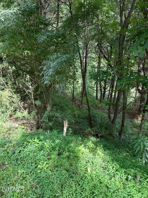 Photo #7: Lot 9 Laurelwood Lane