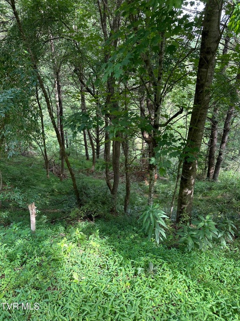 Photo #8: Lot 9 Laurelwood Lane