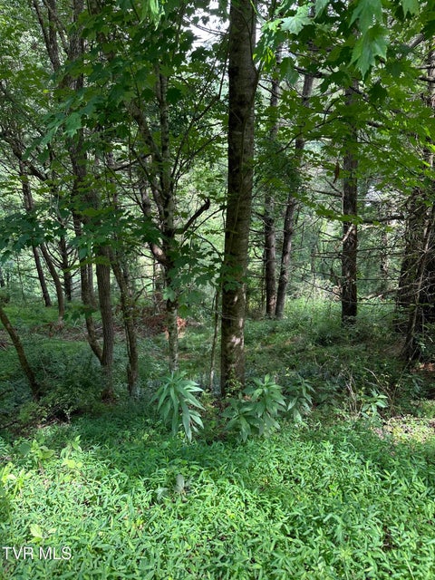 Photo #9: Lot 9 Laurelwood Lane