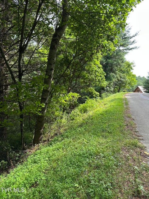 Photo #12: Lot 9 Laurelwood Lane