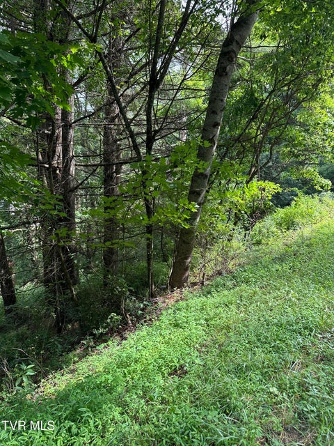 Photo #11: Lot 9 Laurelwood Lane