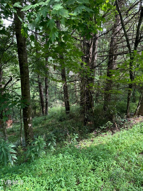 Photo #10: Lot 9 Laurelwood Lane