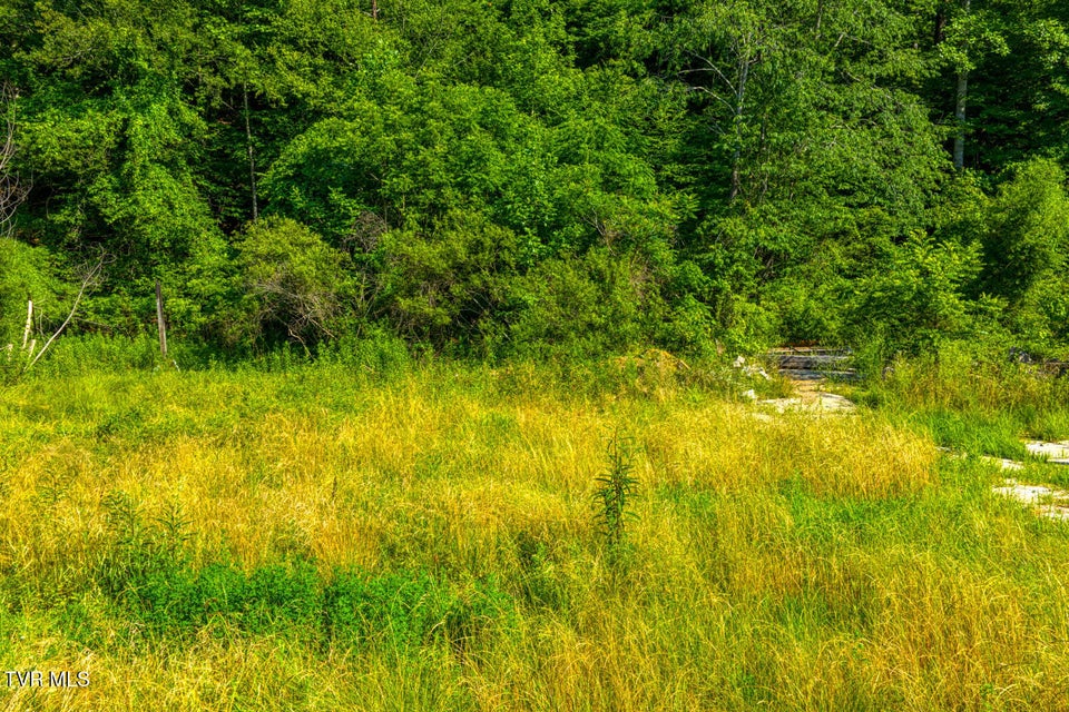 Photo #2: 115 Willis Road