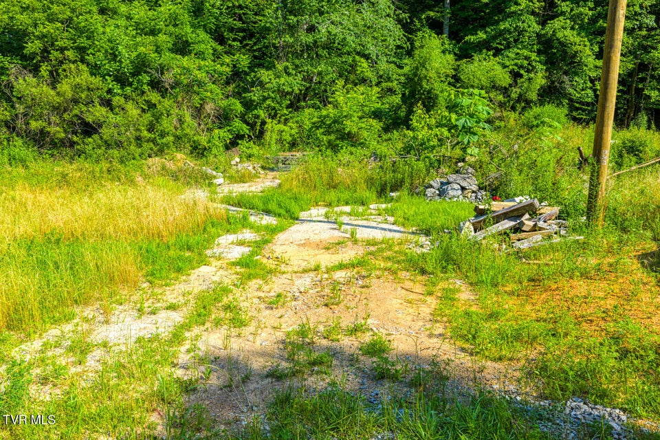 Photo #3: 115 Willis Road