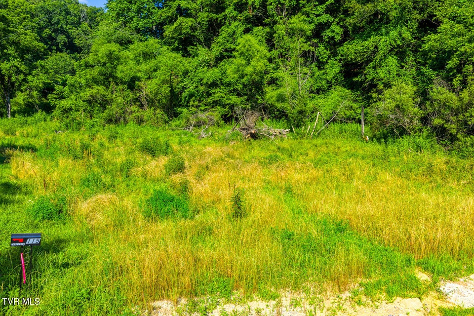 Photo #4: 115 Willis Road