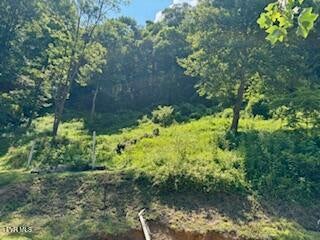 Photo #7: 3219 Hardy Hollow Road