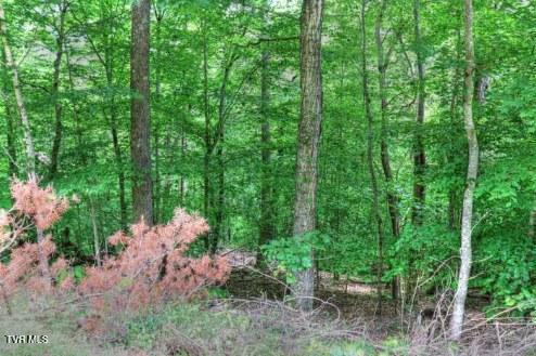 Photo #4: Lot 70 Grandpas Ridge