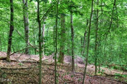 Photo #5: Lot 70 Grandpas Ridge