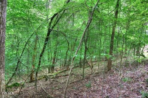 Photo #6: Lot 70 Grandpas Ridge