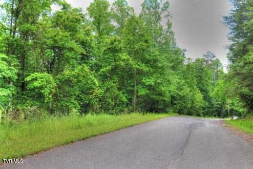 Photo #9: Lot 70 Grandpas Ridge