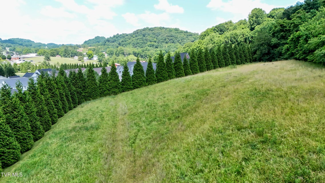 Photo #6: Tbd Wallace Meadows Way