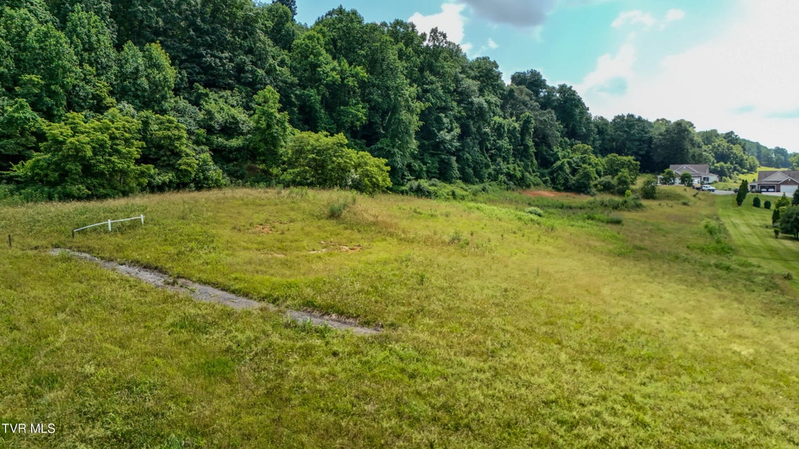 Photo #7: Tbd Wallace Meadows Way