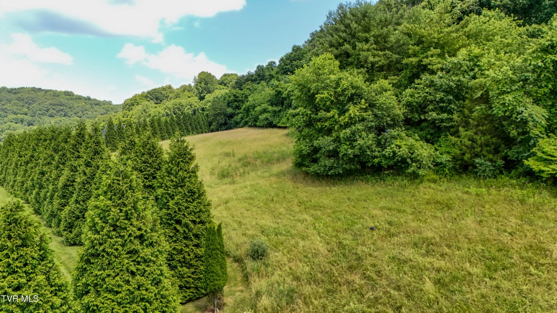Photo #10: Tbd Wallace Meadows Way