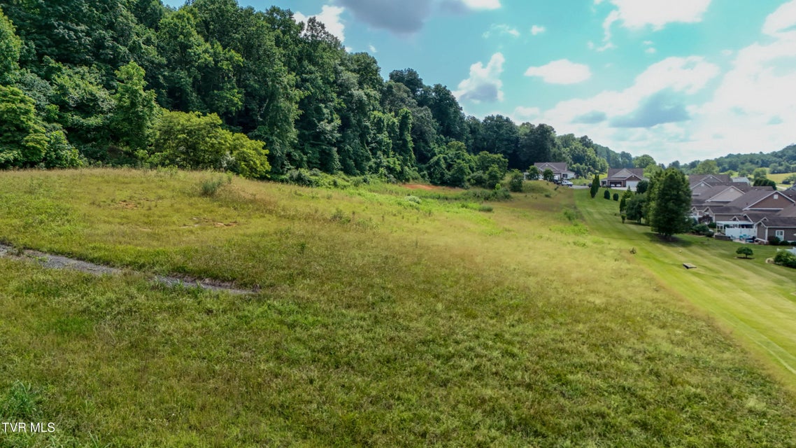 Photo #5: Tbd Wallace Meadows Way