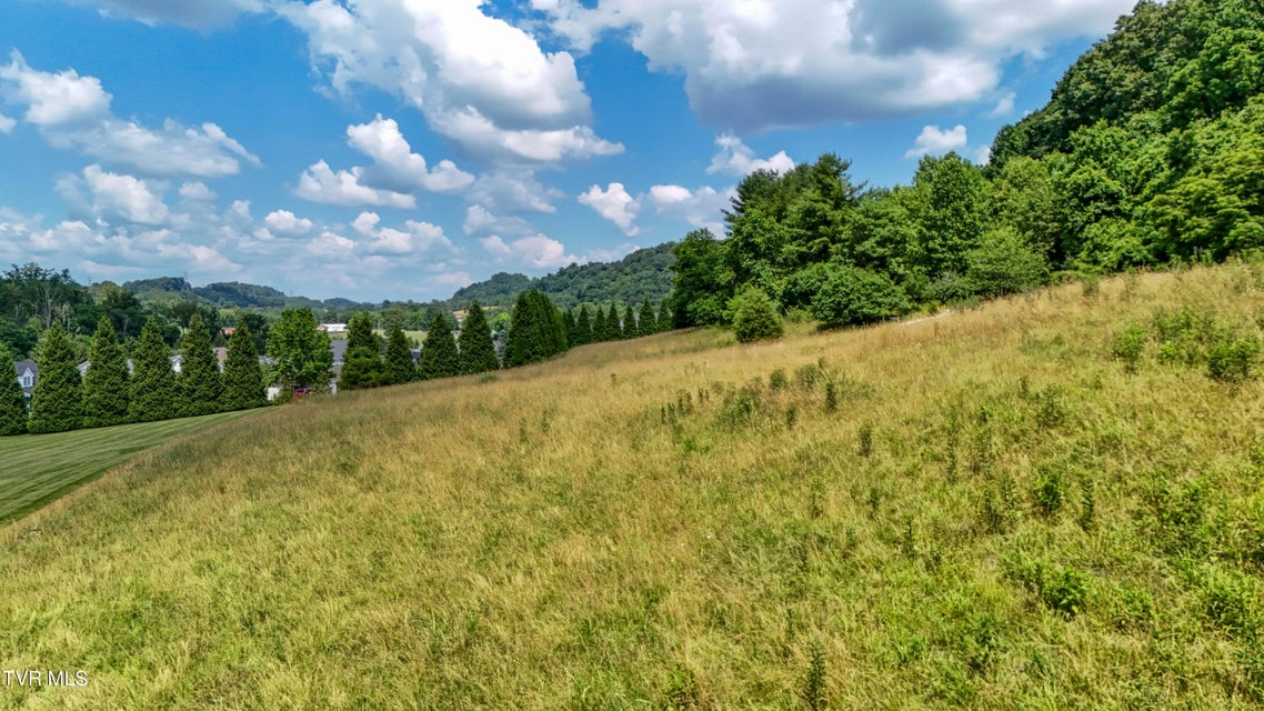 Photo #4: Tbd Wallace Meadows Way