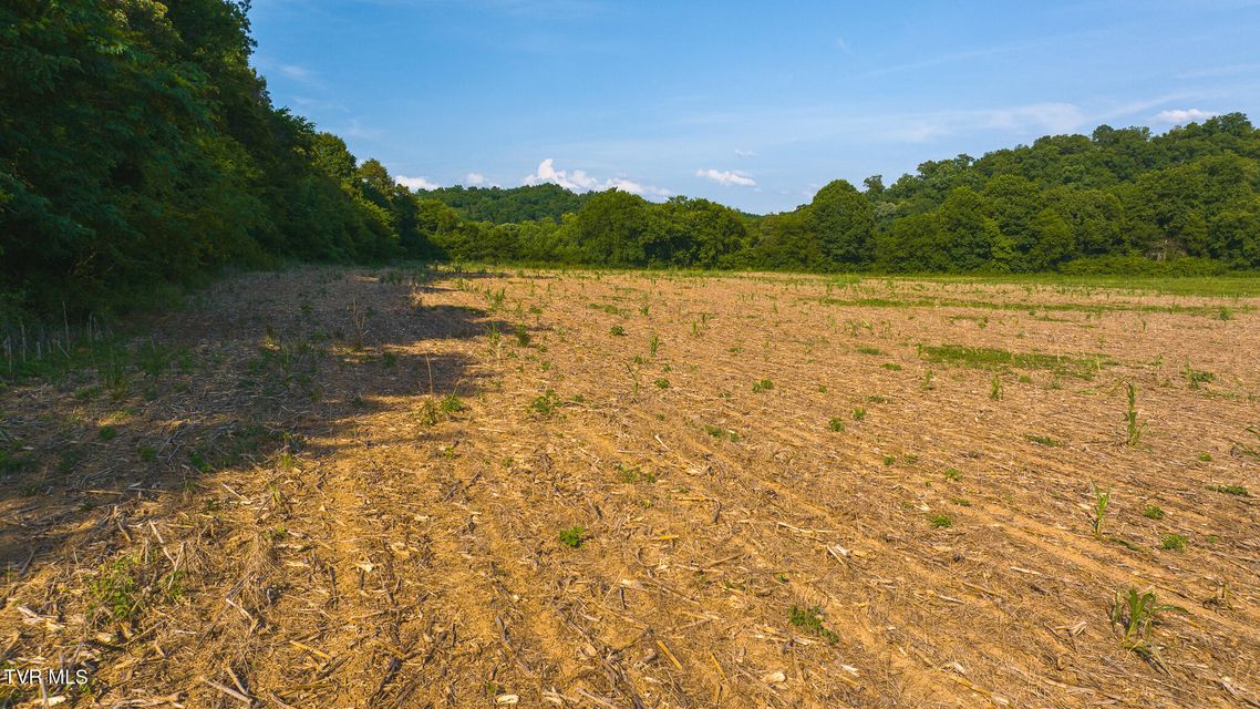 Photo #2: 14460 Warrensburg Road